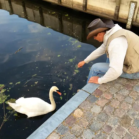 Camping Mobilheim Im Amazonas Camp - Viel Platz Und Komfort Loitz